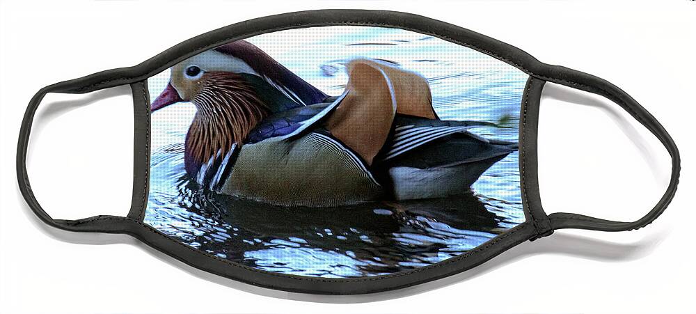 Mandarin Duck Face Mask featuring the photograph Mandarin Duck 6 by Patricia Youngquist