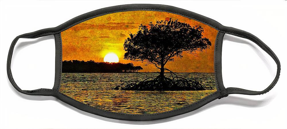 Weipa Face Mask featuring the photograph Mangrove Silhouettes Painted Sky Sunset by Joan Stratton