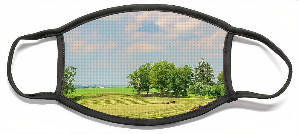Canada Face Mask featuring the photograph Mennonite Farmers by Lenore Locken