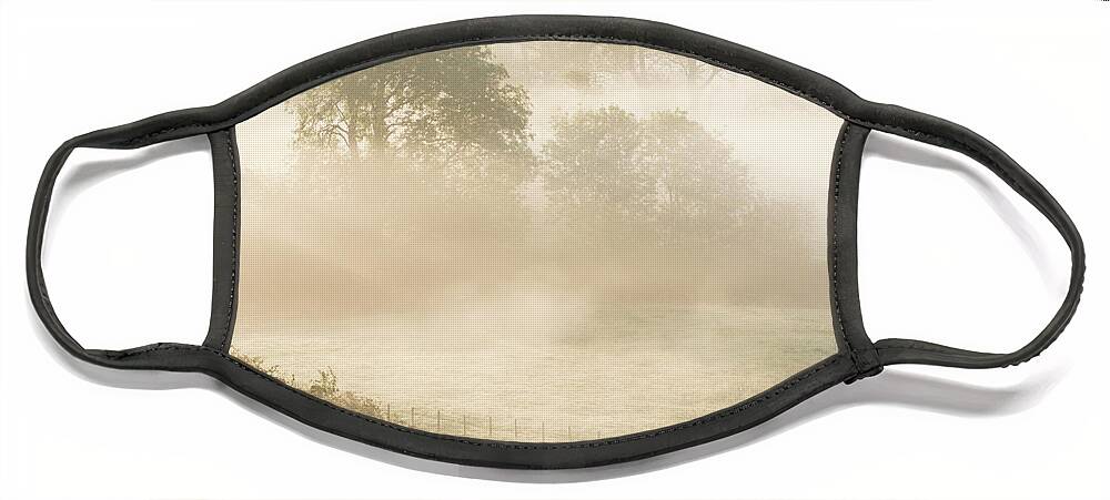 Mist Face Mask featuring the photograph Mist in the Vale by Anita Nicholson