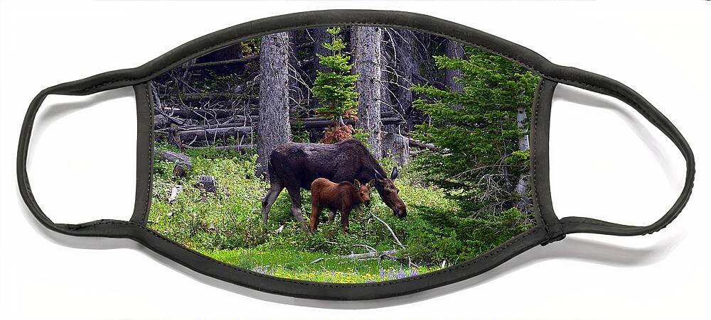 Moose Face Mask featuring the photograph Mom and Baby by Dorrene BrownButterfield