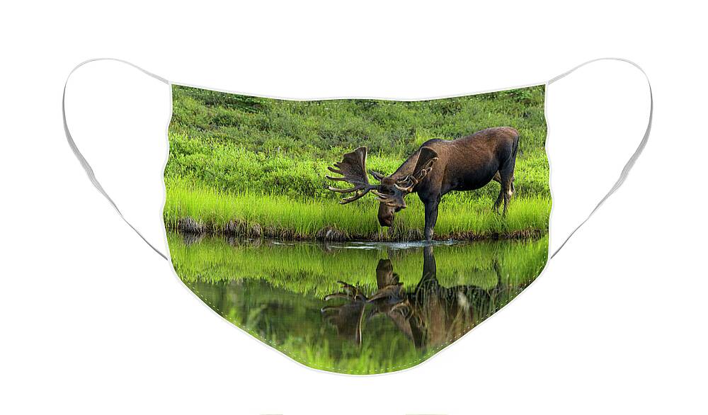 Alaska Face Mask featuring the photograph Morning Isolation by Chad Dutson