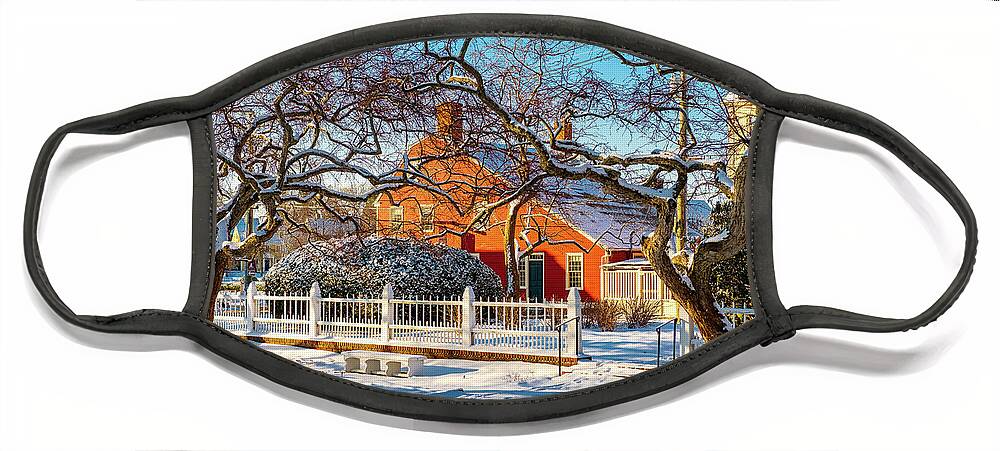 New Hampshire Face Mask featuring the photograph Morning Light, Winter Garden. by Jeff Sinon