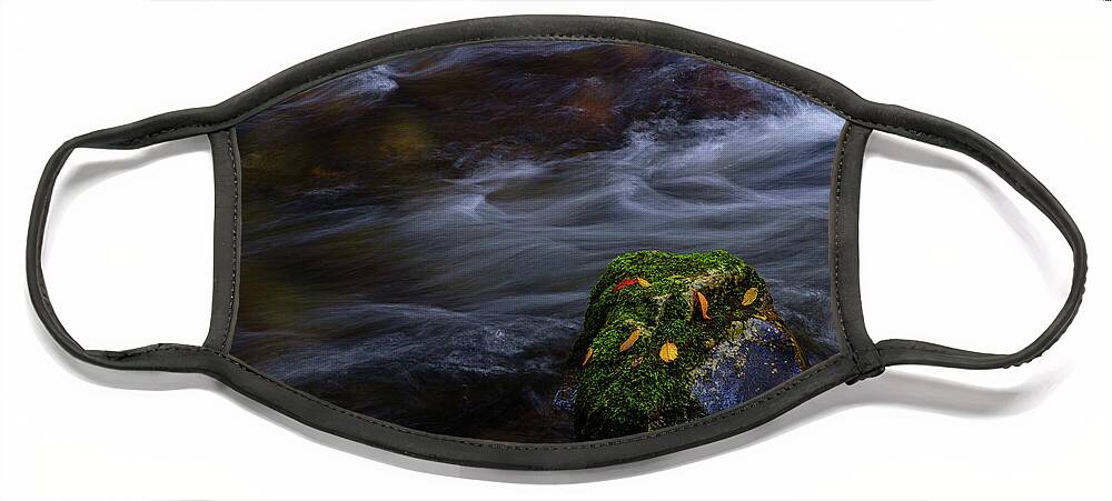 Sunset Face Mask featuring the photograph Moss Covered Rock by Johnny Boyd