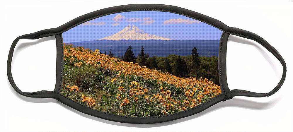 Oak Tree Face Mask featuring the photograph Mt. Hood, Rowena Crest by Jeanette French