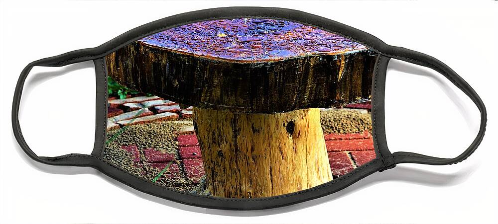 Table Face Mask featuring the photograph Mushroom Table by Merle Grenz