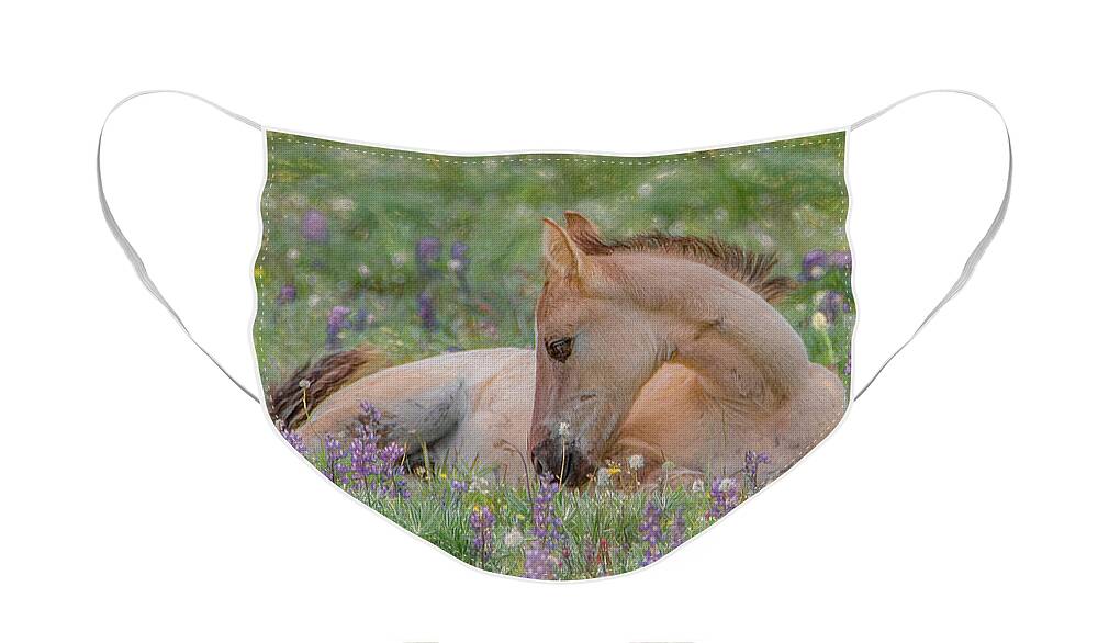 Wild Mustangs Face Mask featuring the photograph Wild Mustang Foal in the Wildflowers by Marcy Wielfaert