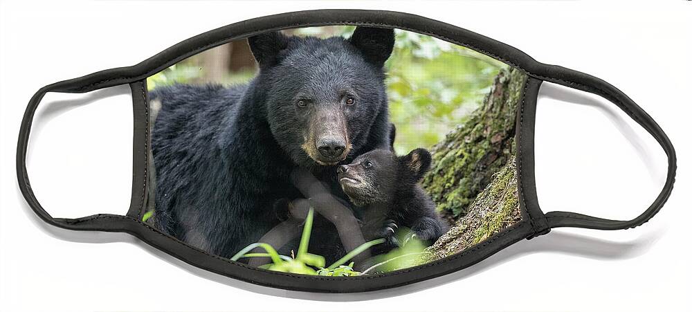 Bear Face Mask featuring the photograph My Mom and Me by Everet Regal