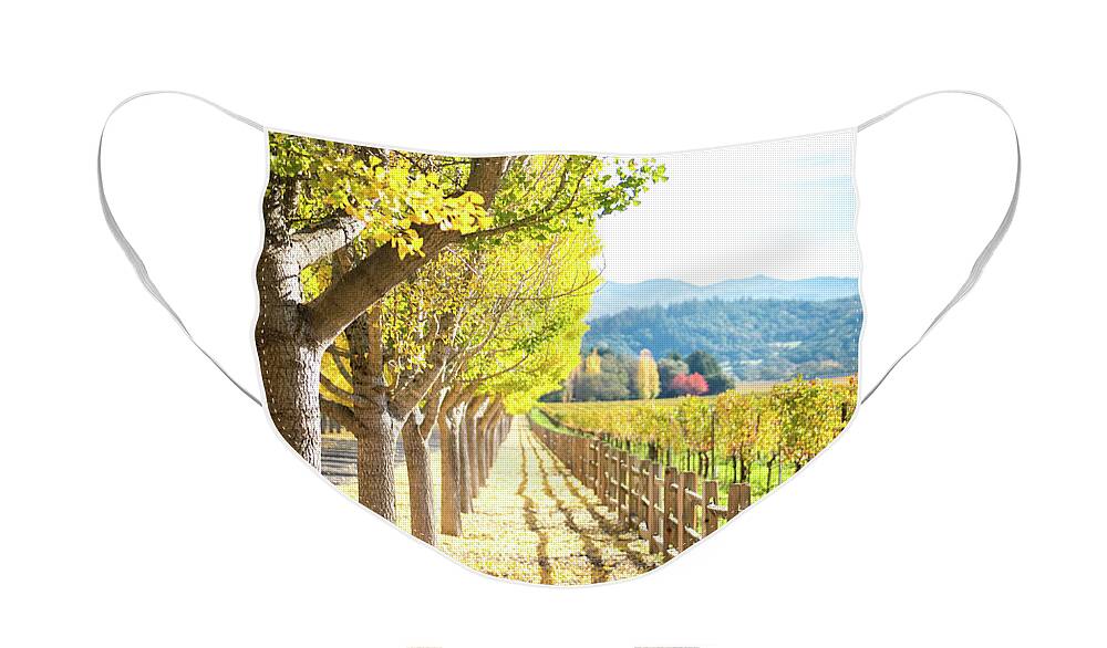 Landscape Face Mask featuring the photograph Napa Valley Fall by Aileen Savage