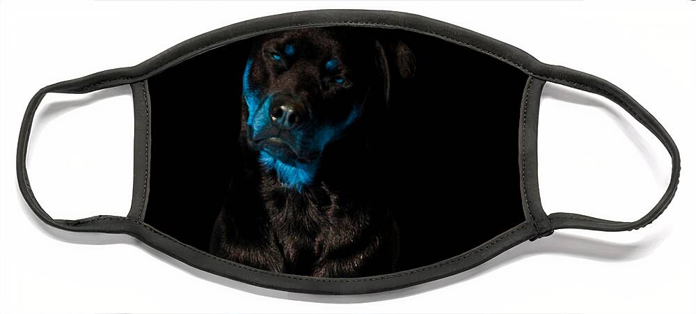 Rottweiler Face Mask featuring the mixed media Naughty Blues by Mayhem Mediums