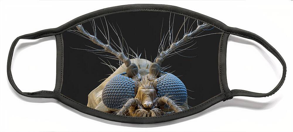 Animal Face Mask featuring the photograph Nonbiting Midge, Chironomidae Sp., Sem by Meckes/ottawa