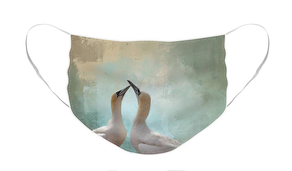 Northern Gannet Face Mask featuring the photograph Northern Gannets by Eva Lechner
