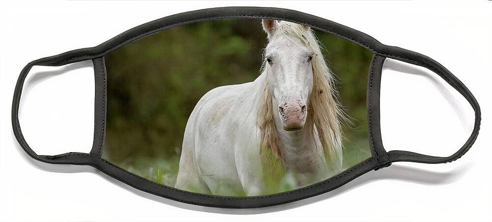 Wild Horse Face Mask featuring the photograph Ombre by Holly Ross