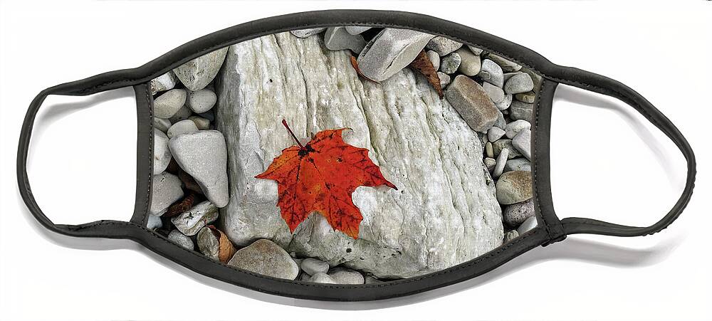 Fall Face Mask featuring the photograph One Leaf Many Rocks by David T Wilkinson