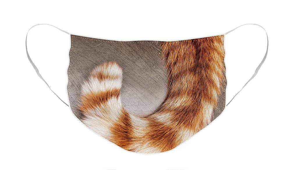Orange And White Cat Tail Face Mask featuring the photograph Orange and White Cat Tail by Sharon Popek