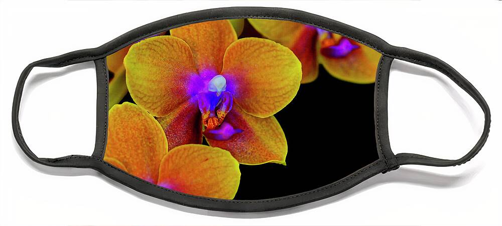 Orchid Face Mask featuring the photograph Orchid Study Ten by Meta Gatschenberger