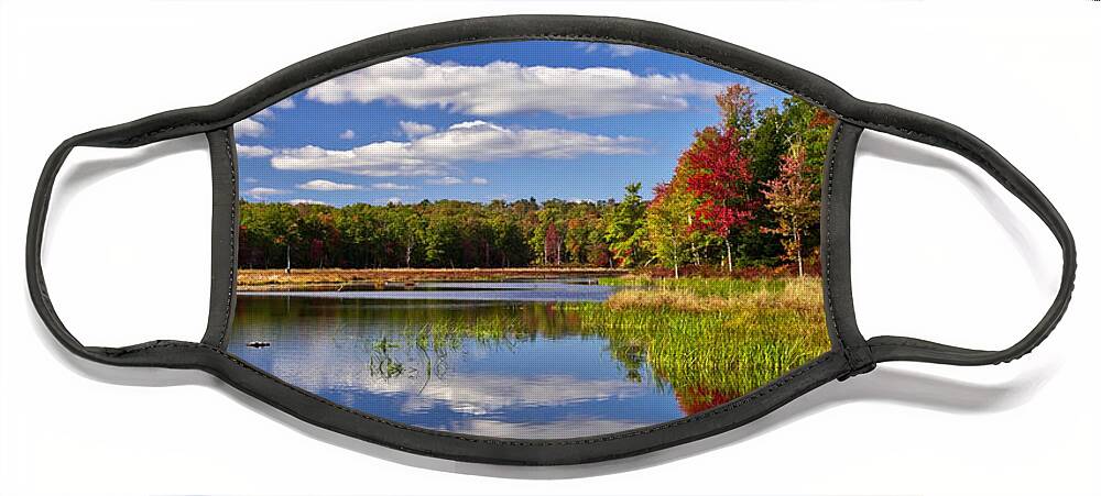 Alleghenies Face Mask featuring the photograph Painter Swamp by Michael Gadomski