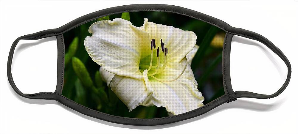 Delicate Face Mask featuring the photograph Pastel Yellow Daylily by Lynn Hunt