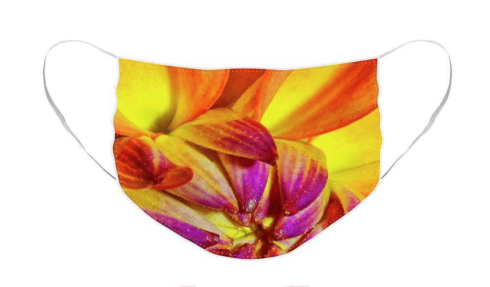 Macro Photography Face Mask featuring the photograph Peach Purple Flower by Meta Gatschenberger