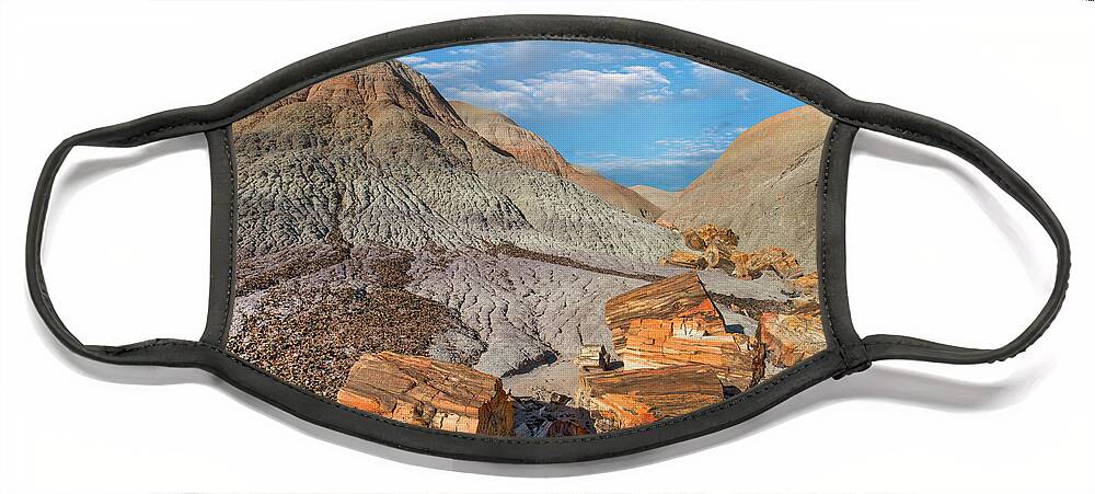 00563962 Face Mask featuring the photograph Petrified Logs, Blue Mesa, Petrified Forest National Park, Arizona by Tim Fitzharris