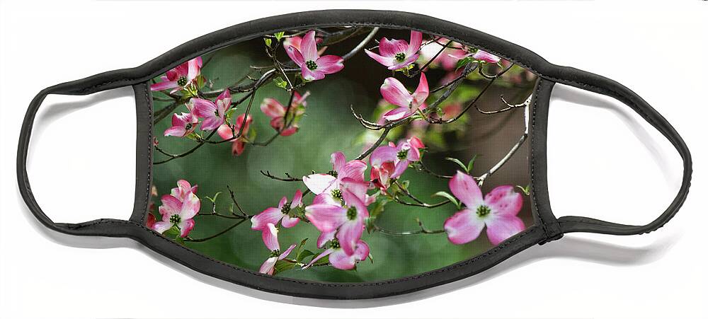 Pink Face Mask featuring the photograph Pink Dogwood Branches by Mary Ann Artz