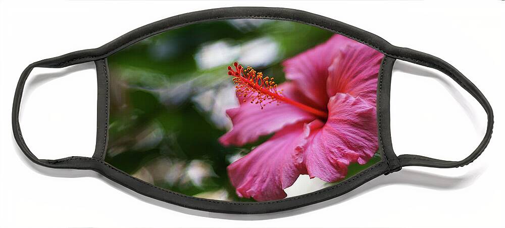 Beautiful Face Mask featuring the photograph Pink Hibiscus Flower by Pablo Avanzini