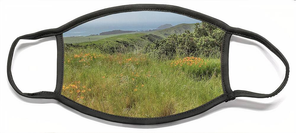 Big Sur Face Mask featuring the photograph Point Sur and Poppies by Bill Roberts