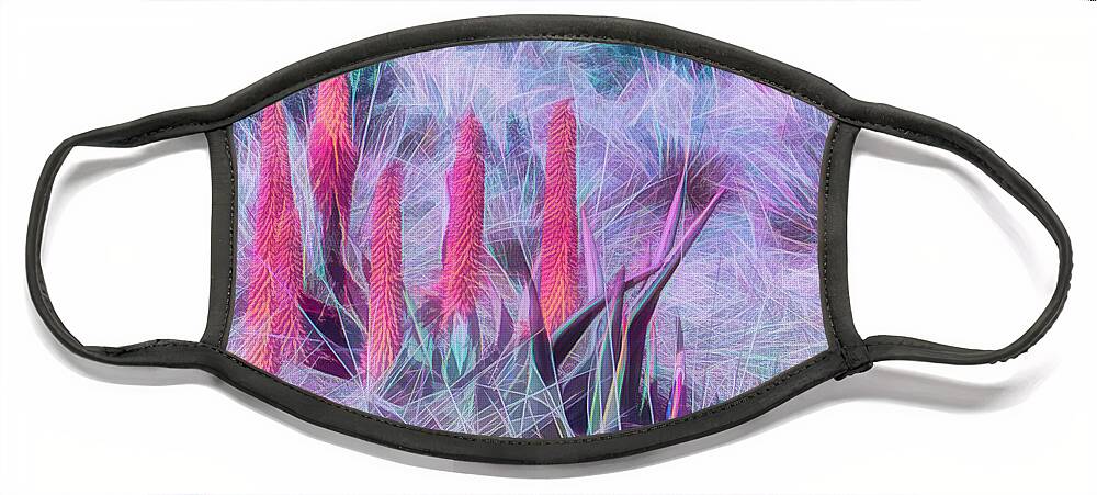 Art Face Mask featuring the photograph Poker Plants in Pinks and Blues by Roslyn Wilkins