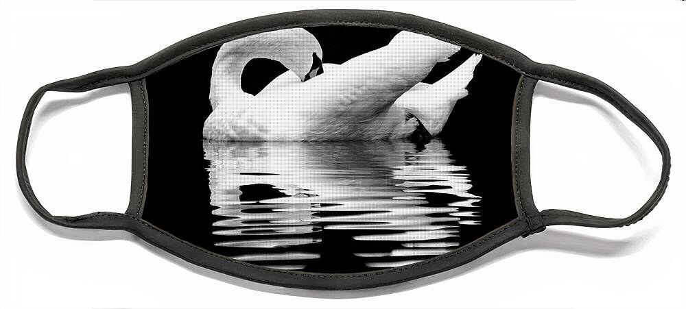 Mute Swan Face Mask featuring the photograph Preening Mute Swan Black and White by Mary Ann Artz