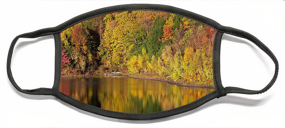 Allegheny Plateau Face Mask featuring the photograph Prompton Lake by Michael Gadomski