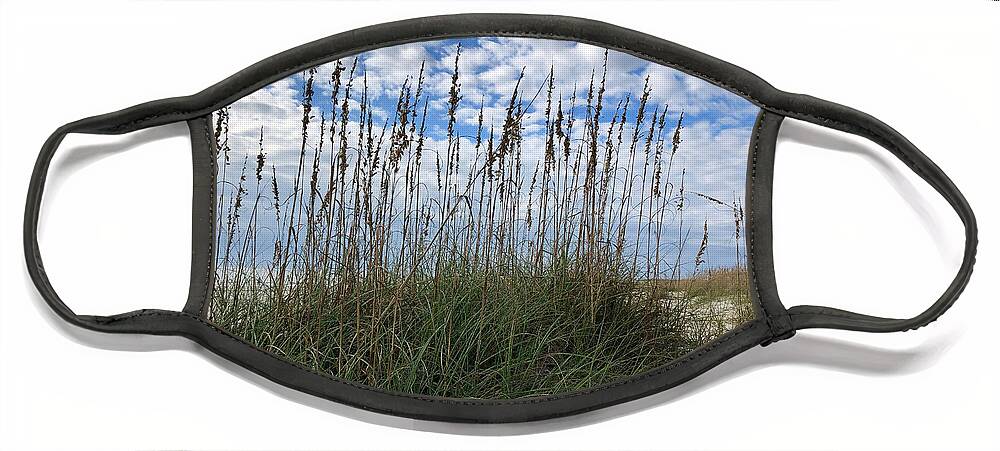 Sand Face Mask featuring the photograph Protecting Our Sand Dunes by Dennis Schmidt