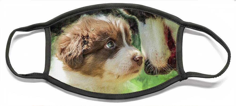 Dog Face Mask featuring the digital art Puppy Dog by Phil Perkins