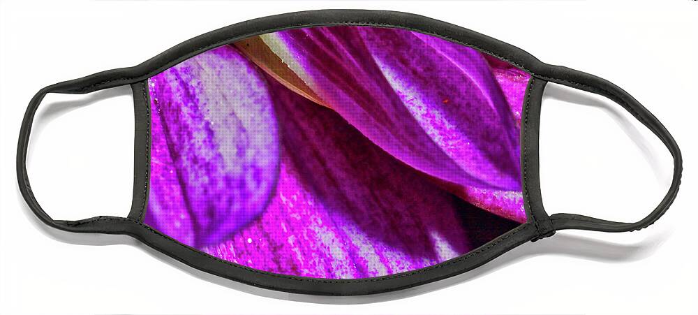 Macro Photography Face Mask featuring the photograph Purple Petals by Meta Gatschenberger