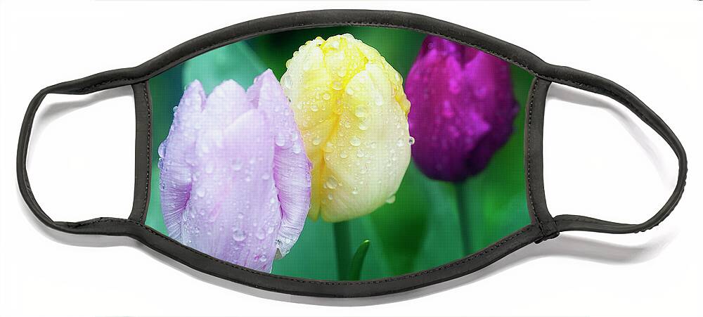 Tulips Face Mask featuring the photograph Rainy Day Tulips by Terri Waters