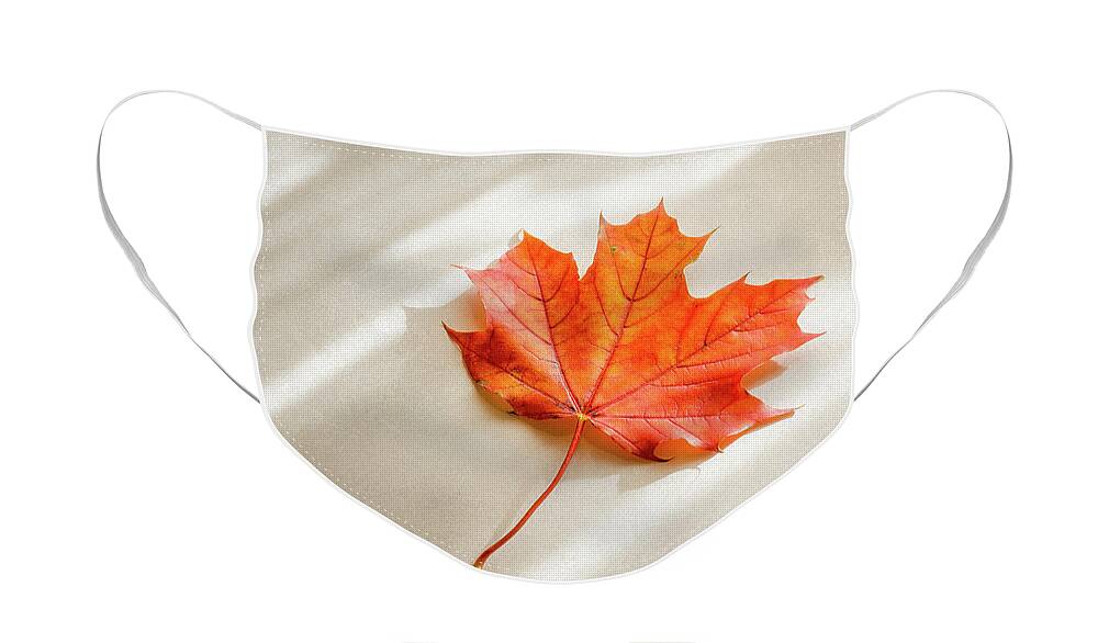 Maple Leaf Face Mask featuring the photograph Red and Orange Maple Leaf by Scott Norris