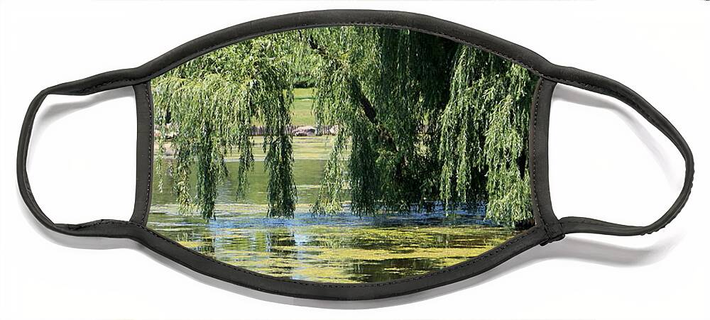 Garden Waters Face Mask featuring the photograph Reflections from Mother Willow by Colleen Cornelius