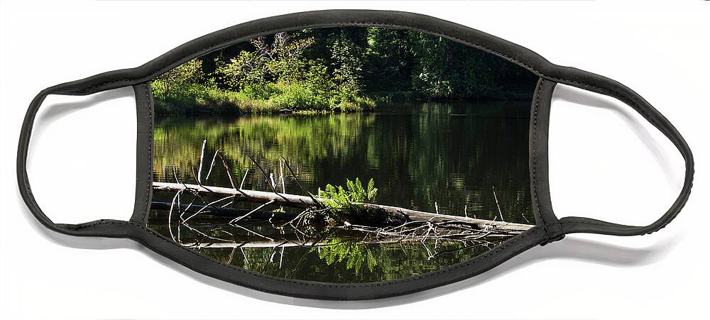 Lake Face Mask featuring the photograph Reflections on a Lake by Cheryl Day