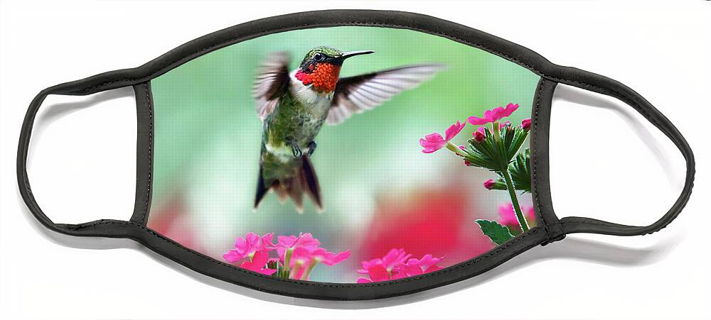 Hummingbird Face Mask featuring the photograph Ruby Garden Jewel by Christina Rollo