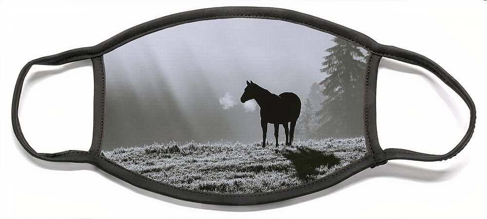 Horse Face Mask featuring the photograph Serenity 2 in Monochrome by Catherine Avilez