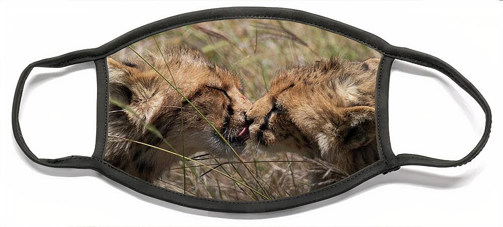 Cheetah Face Mask featuring the photograph Sibling love by Patrick Nowotny