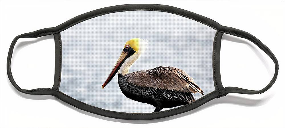 Pelican Face Mask featuring the photograph Sitting on the Dock of the Bay by Susan Rissi Tregoning