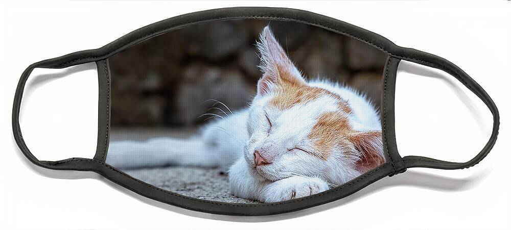 Animal Face Mask featuring the photograph Sleeping Kitty by Rick Deacon