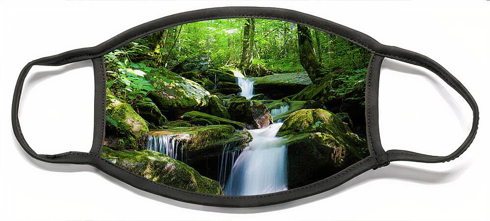 Smokey Mountains Face Mask featuring the photograph Smokey Mountain Tranquility by Randall Allen