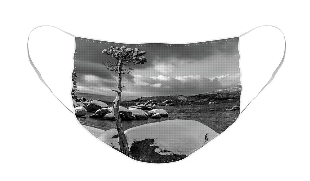 Lake Face Mask featuring the photograph Snow Tree by Martin Gollery