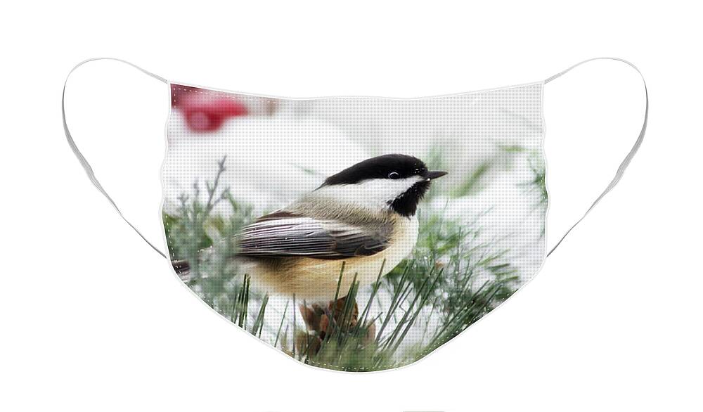 Winter Face Mask featuring the photograph Snowy Chickadee Bird by Christina Rollo