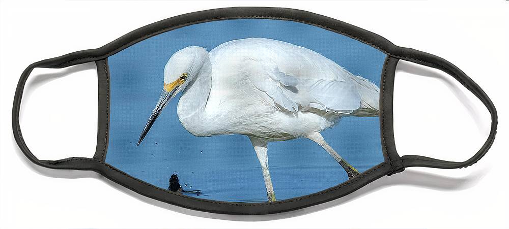 Nature Face Mask featuring the photograph Snowy Egret DMSB0180 by Gerry Gantt