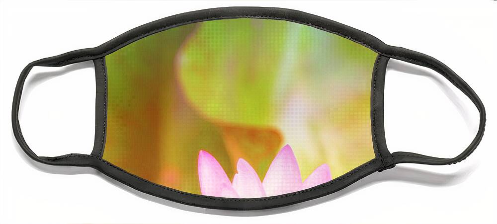 Pink Flower Face Mask featuring the photograph Soft and Light 4 by Becqi Sherman