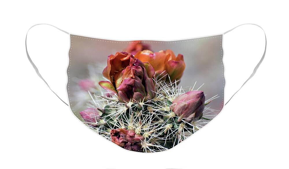 Photography Face Mask featuring the photograph Sonoran Beauty by Charleen Martin