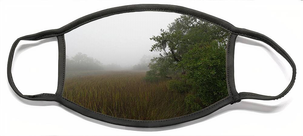 Fog Face Mask featuring the photograph Southern Framed Fog by Dale Powell