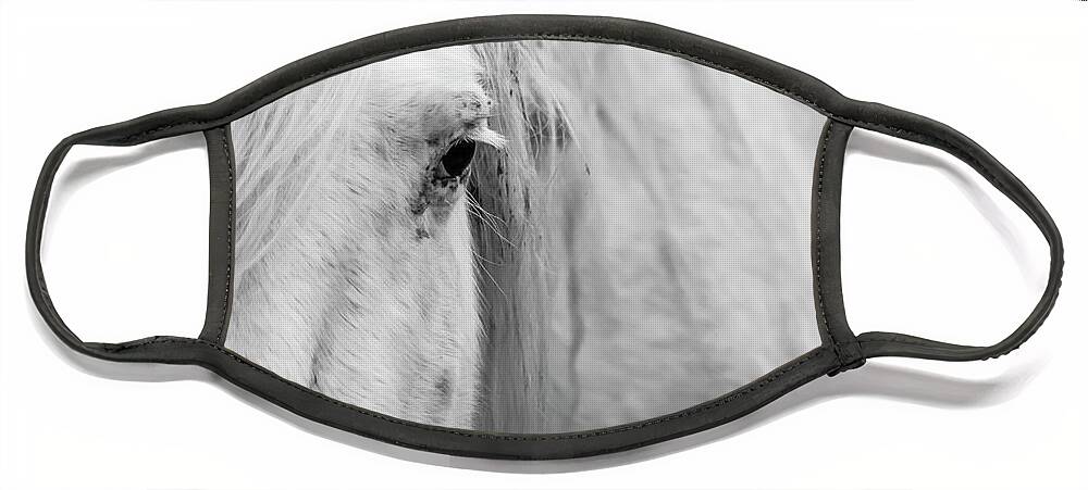 Wild Horse Face Mask featuring the photograph Spirit of the Wild by Holly Ross